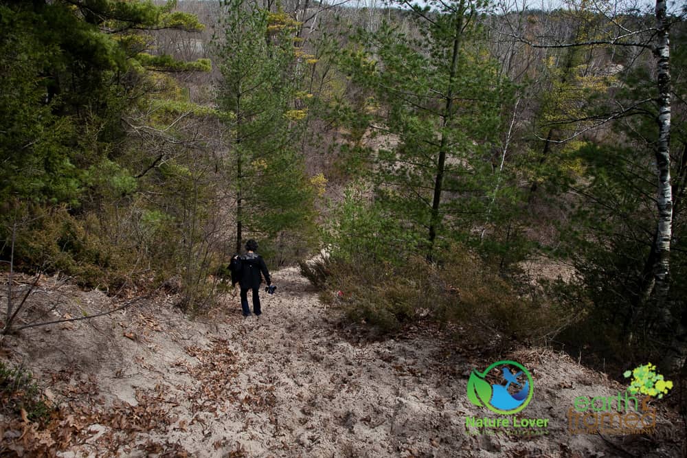 Nature-Lover-Ausable-Cut-Conservation-Area-Spring-Trail_5922_Apr-09 Kirra's Hike Through the Ausable River Cut Conservation Area, 2017