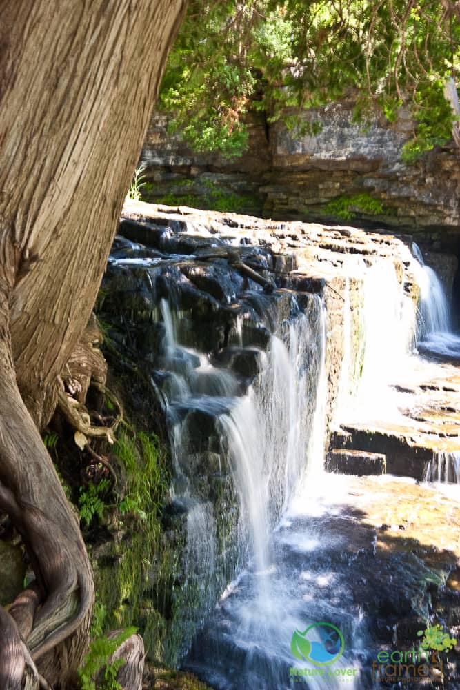 2007-Pottawatomi-Jones-Falls-Conservation-Area-Ontario-spring-4175 Jones Falls at Pottawatomi Conservation Area