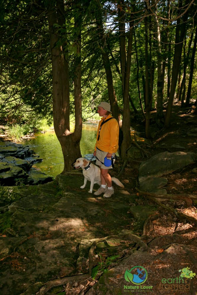 2007-Pottawatomi-Jones-Falls-Conservation-Area-Ontario-spring-6559 Jones Falls at Pottawatomi Conservation Area