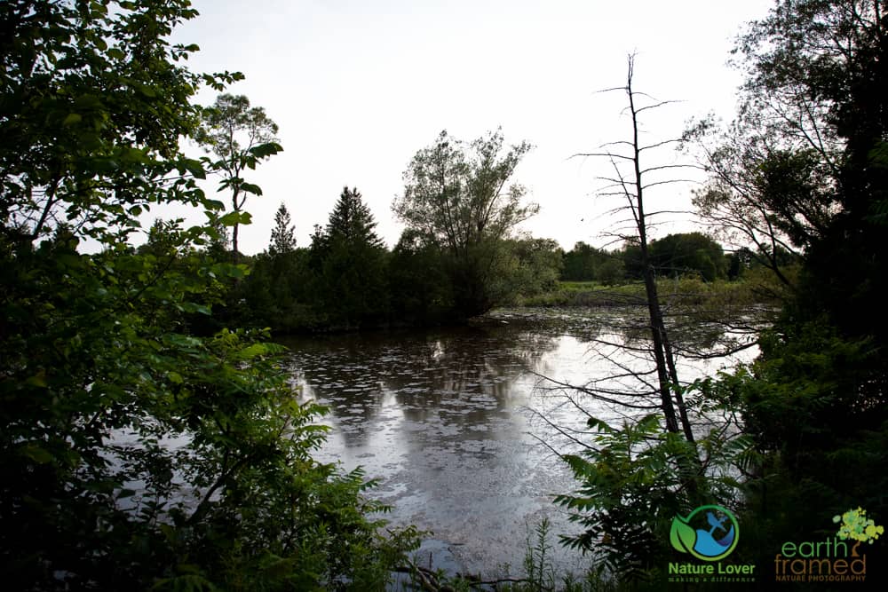 2015-July-03-8479 Stop Over At Earl Rowe Provincial Park, 2015