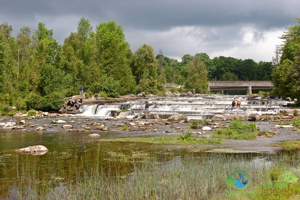 2008-Sauble-Falls-Provincial-Park-Summer-1557 Name The Park - September 2018