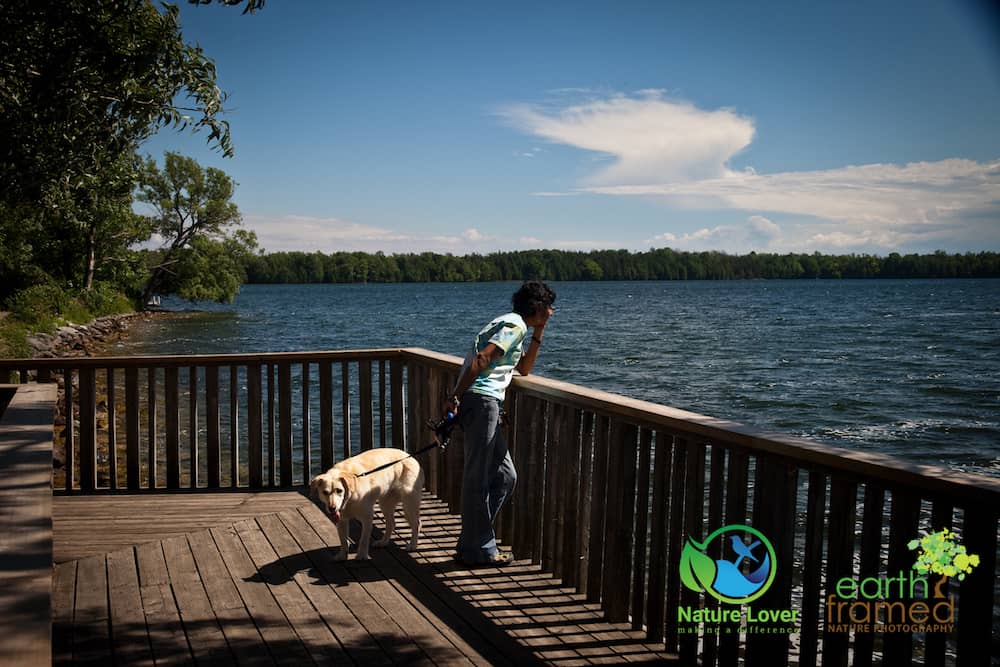 2016-Deck-Dog-Lake-On-The-Mountain-Provincial-Park-Maya-Summer-9137 Picnic At Lake On The Mountain Provincial Park