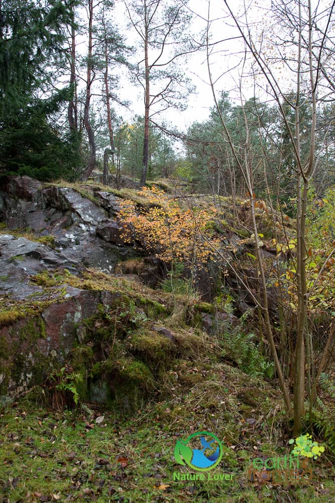 Nature-Lover-2009-Assignment-Europe-Kungalv-October-Scandinavia-Sweden_3200_Oct-16-2 Walking The Perimeter of Sweden's Bohus Fortress