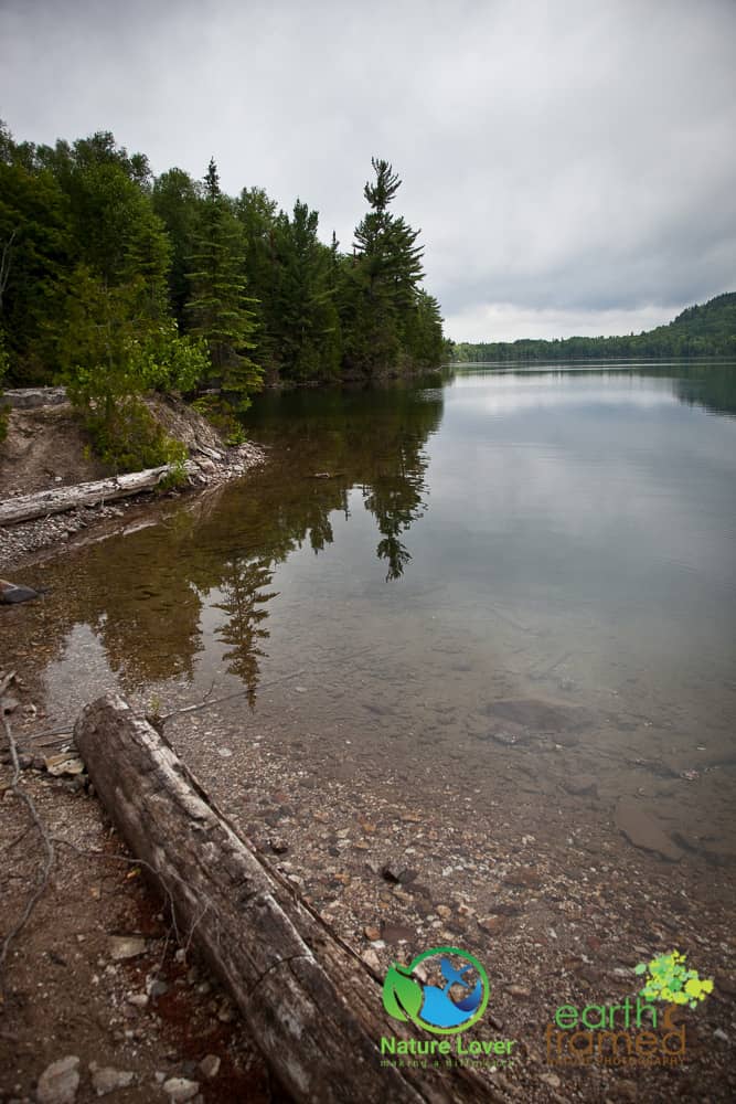 Nature-Lover-2015-Camping-Lac-Cobre-Trail-Mississagi-Provincial-Park-Summer_0466_Jul-25 Hiking To An Abandoned Copper Mine, Cobre Lake