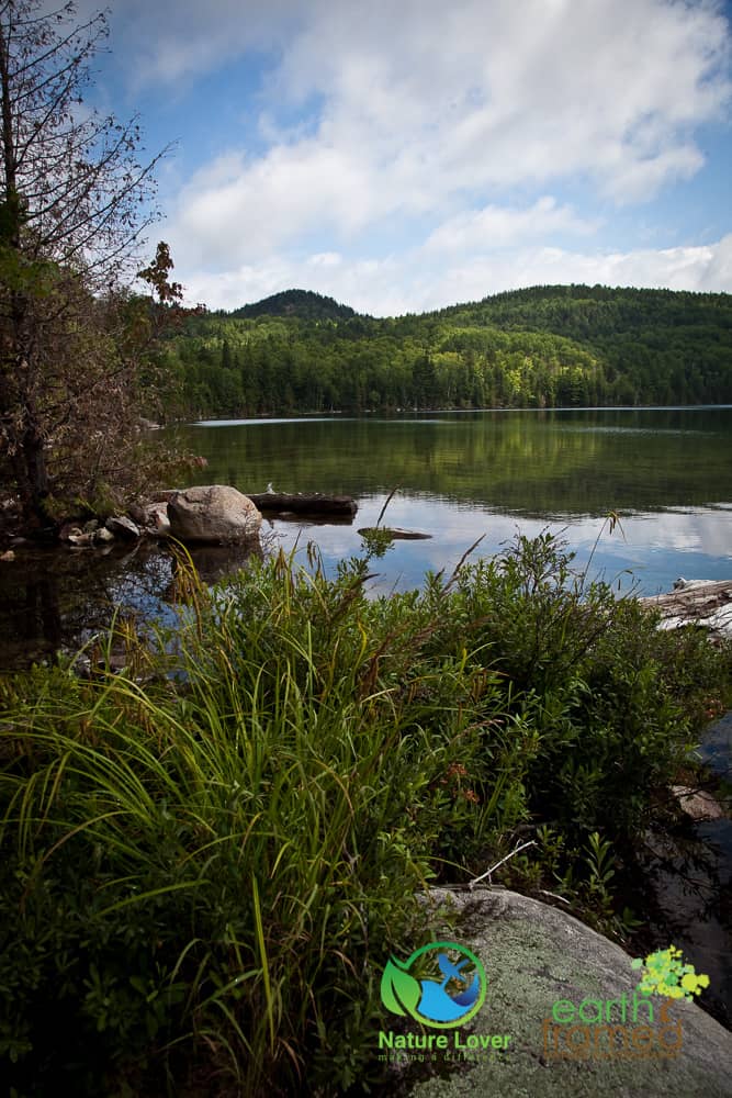 Nature-Lover-2015-Camping-Lac-Cobre-Trail-Mississagi-Provincial-Park-Summer_0505_Jul-25 Hiking To An Abandoned Copper Mine, Cobre Lake