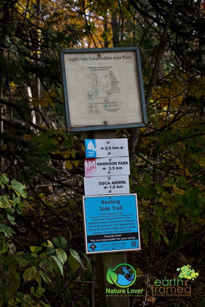 Nature-Lover-2017-Fall-Inglis-Falls-Conservation-Area-Ontario-Owen-Sound-9520-Oct-21 Inglis Falls' Pines Loop Trail Along the Bruce Trail In The Autumn