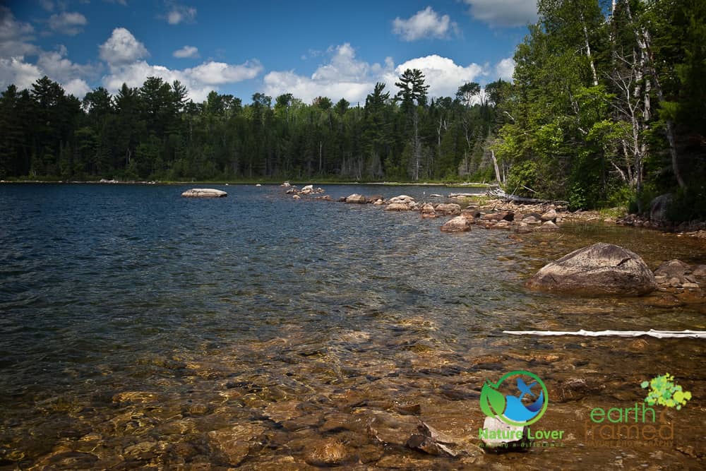 Nature-Lover-2015-Camping-Flack-Lake-Trail-Mississagi-Provincial-Park-Summer_0593_Jul-25 Flack Lake Nature Trail Near Mississagi Provincial Park