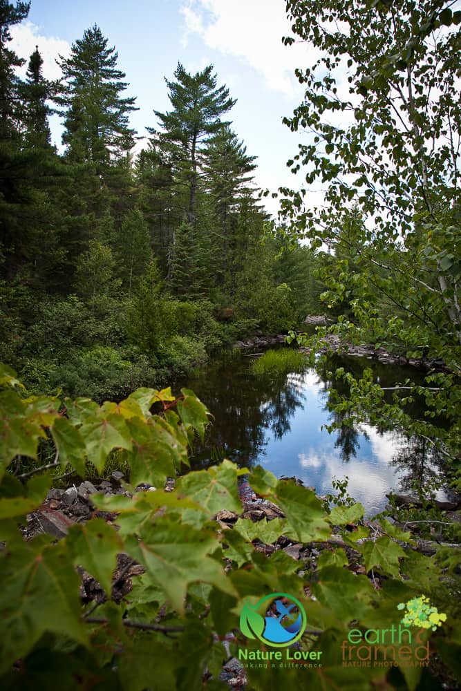 Nature-Lover-2015-Camping-Mississagi-Provincial-Park-Semiwite-Creek-Trail-Summer_0630_Jul-25 Mississagi's Semiwite Creek Trail