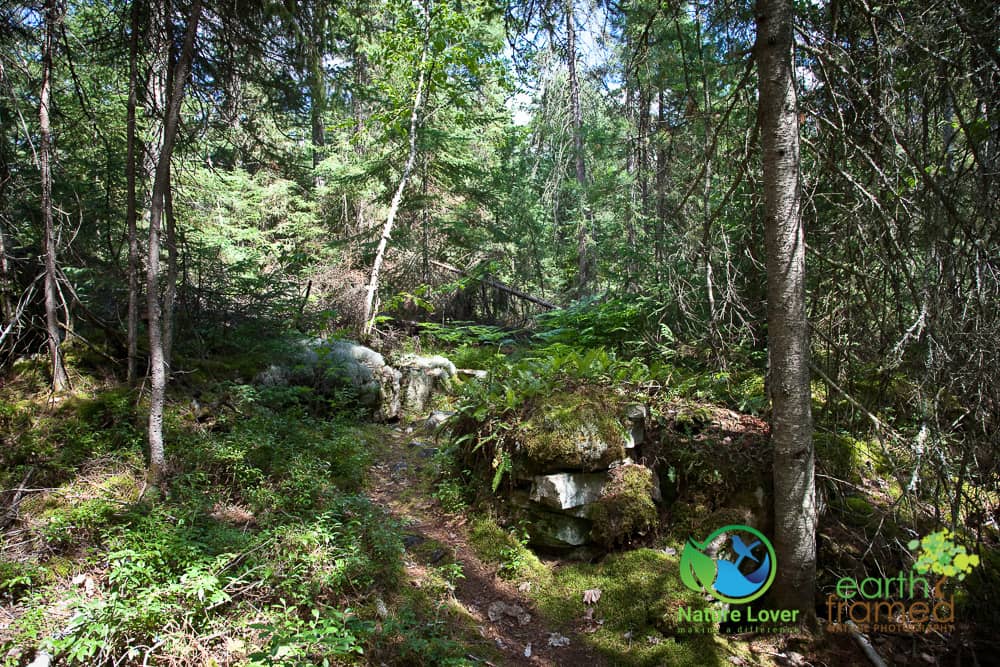 Nature-Lover-2015-Camping-Mississagi-Provincial-Park-Semiwite-Creek-Trail-Summer_0667_Jul-25 Mississagi's Semiwite Creek Trail