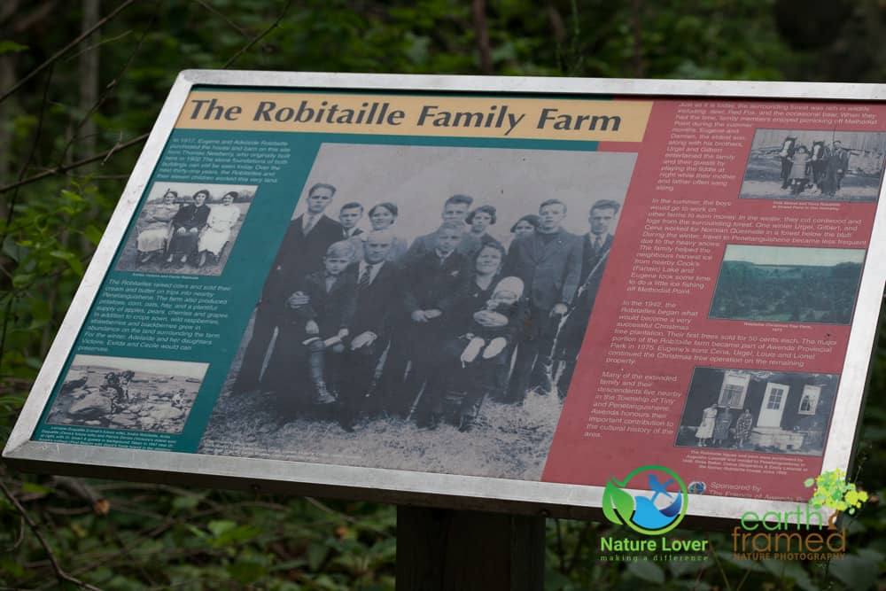Nature-Lover-2015-Awenda-Provincial-Park-Robitaille-Homestead-Trail-SIGN-Summer-2078-Aug-06 Awenda's Robitaille Homestead Trail
