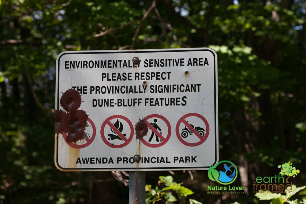 Nature-Lover-2015-Awenda-Provincial-Park-Robitaille-Homestead-Trail-SIGN-Summer-2118-Aug-06 Awenda's Robitaille Homestead Trail