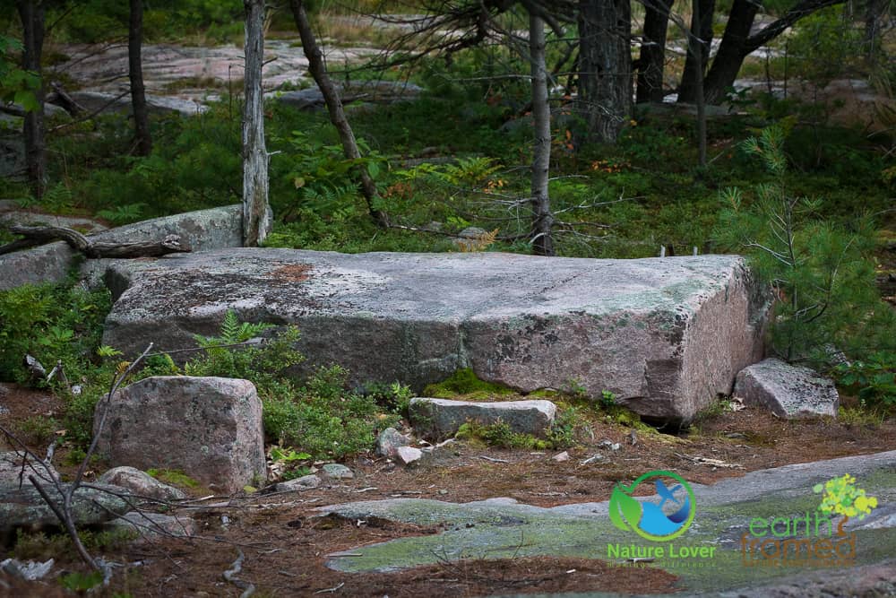 Nature-Lover-2015-Killbear-Provincial-Park-Summer-Twin-Points-Trail-1486-Aug-03 Killbear's Twin Points Trail