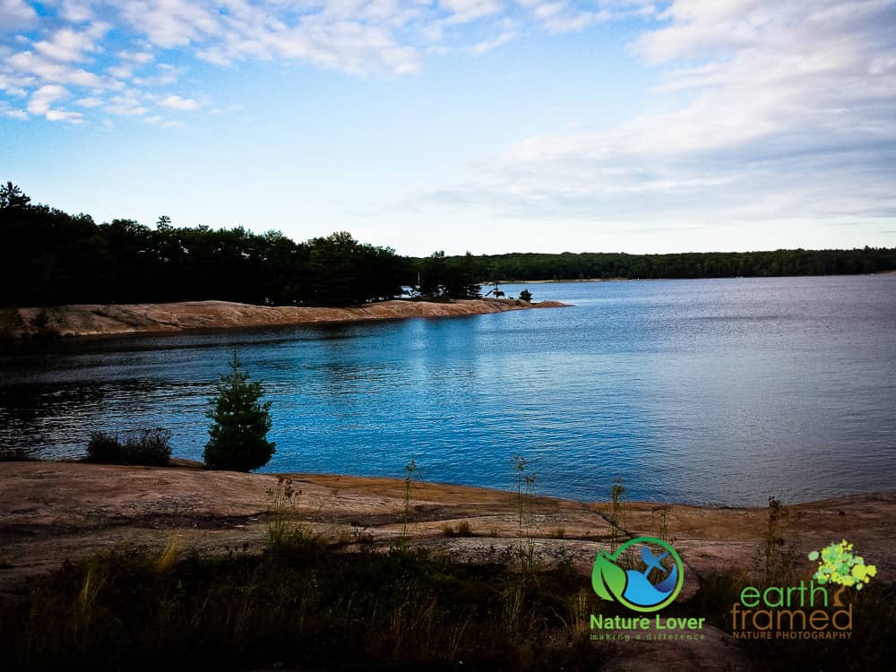 Nature-Lover-2015-Summer-Twin-Points-Trail-193700-Aug-03 Killbear's Twin Points Trail