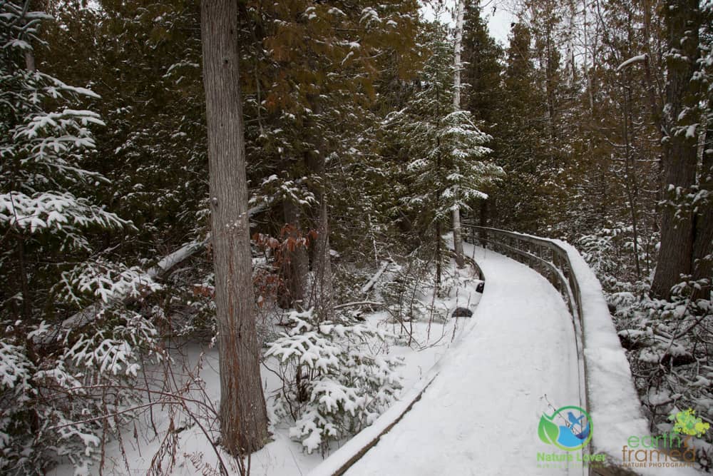 2016-Macgregor-Point-Provincial-Park-Huron-Fringe-Trail-Winter-Ontario-4572 Hiking Huron Fringe Trail On A Cold Winter Day