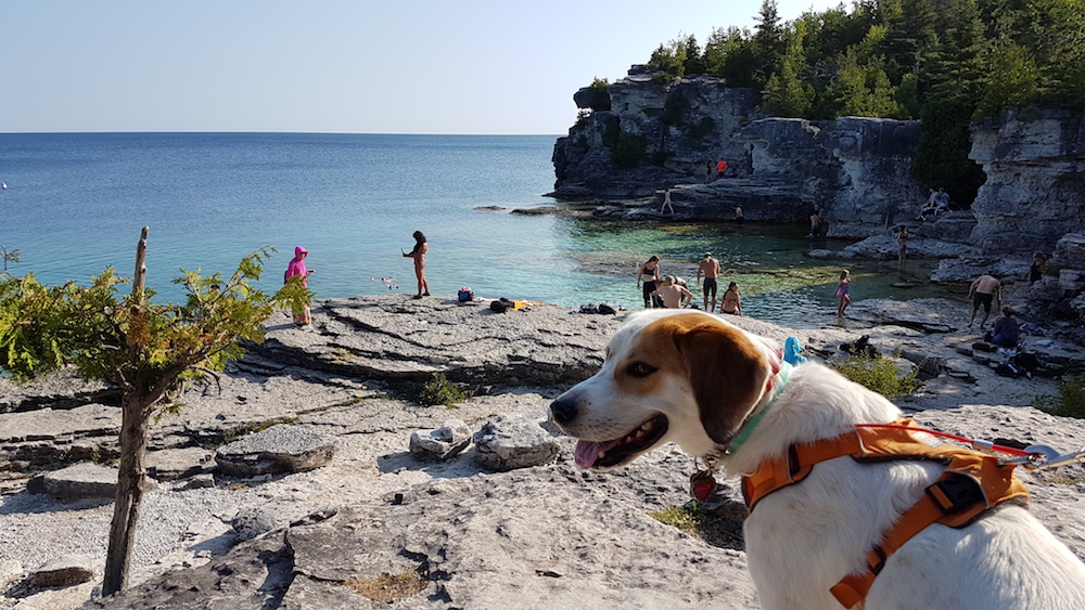 20180802_090818-copy Explore And Hike The Bruce Peninsula - Watch the Video!