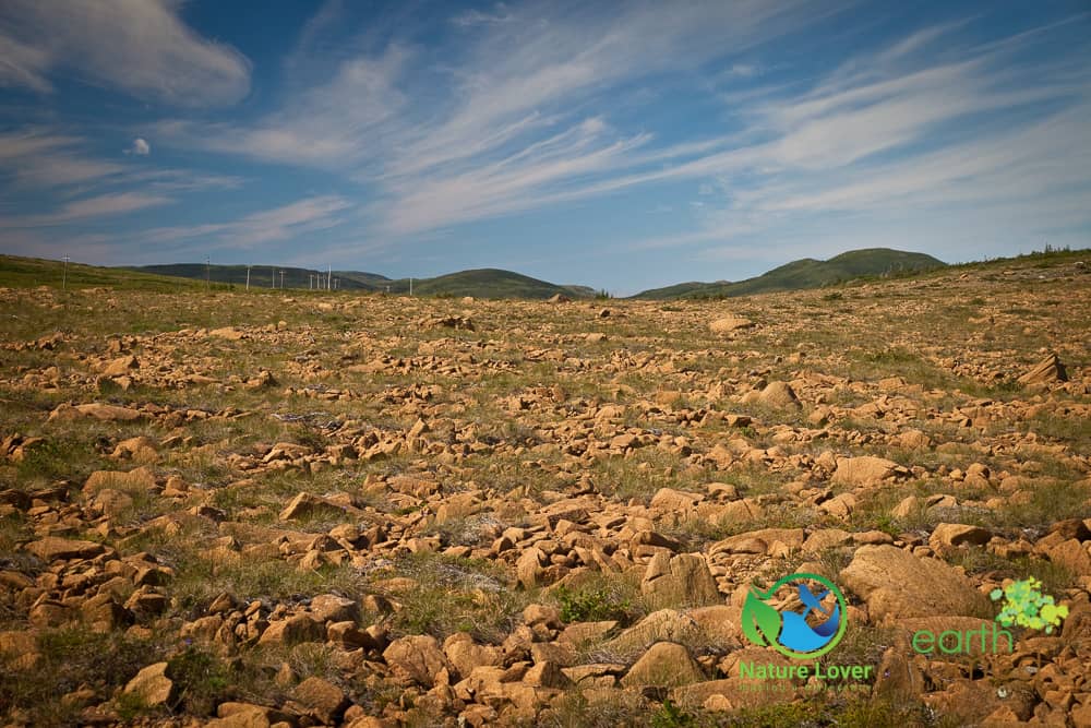 Nature-Lover-20100801-11825 Canadian Maritimes Camping Adventure Preview - Watch the Video!