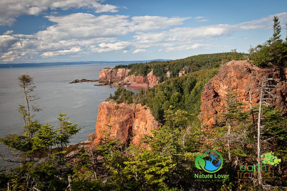 Nature-Lover-20100812-13886 Canadian Maritimes Camping Adventure Preview - Watch the Video!