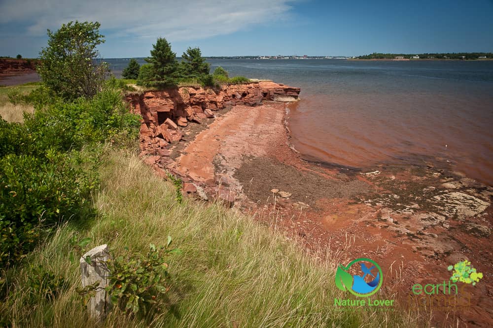 Nature-Lover-20100816-14193 Canadian Maritimes Camping Adventure Preview - Watch the Video!