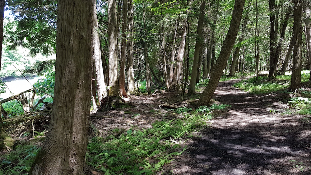 20190622_123941-copy Hiking At Wawanosh Valley Conservation Area Near Goderich - Watch the Video!