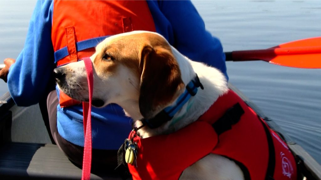 Chloe1-1024x576 Canoeing Bon Echo's The Lower Mazinaw Lake In The Morning - Watch The Video!