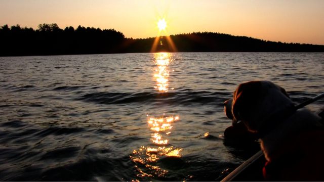 shot4-copy-640x360 Canoeing The Mazinaw At Sunset - Bon Echo - Watch the Video!
