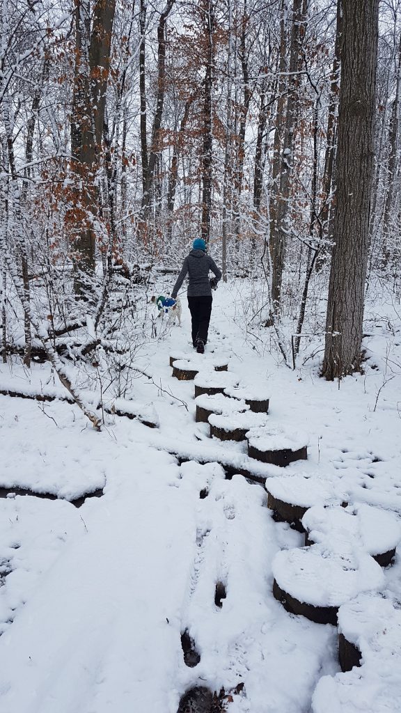 20200203_104209-576x1024 Take A Peaceful Winter Walk Through Mandaumim Woods - Lambton County Trail - Watch the Video!