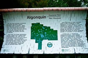 ALGONQUIN-300x200 Ontario Provincial Parks - Photo Galleries of Trails and Parks