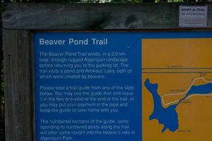 BEAVER-POND-TRAIL-300x200 Algonquin Provincial Park Trails