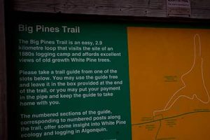 BIG-PINES-TRAIL-300x200 Algonquin Provincial Park Trails