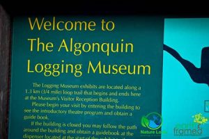 LOGGING-MUSEUM-300x200 Algonquin Provincial Park Trails
