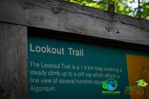 LOOKOUT-TRAIL-300x200 Algonquin Provincial Park Trails