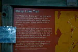 MIZZY-LAKE-TRAIL-300x200 Algonquin Provincial Park Trails