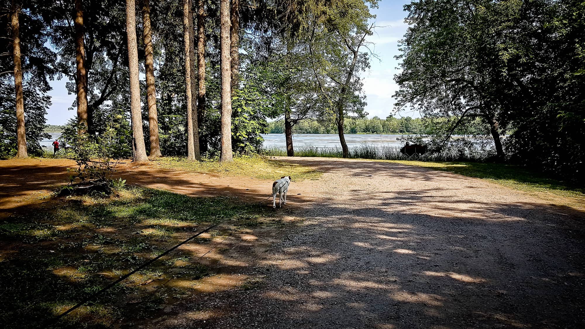 Nature-Lover-20190803-163312 Discovering Rideau River Provincial Park For The First Time
