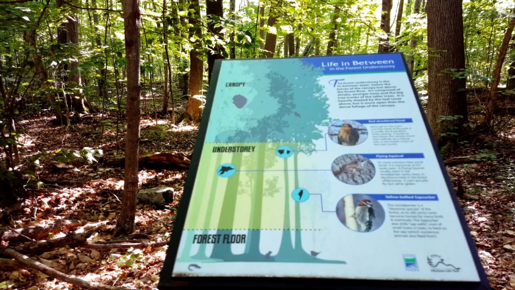 sign4-1024x576 Sounds Of Cicadas Along Charleston Lake's Beech Woods Trail - Watch the Video!
