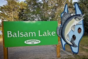 BALSALM-LAKE-300x200 Ontario Provincial Parks - Photo Galleries of Trails and Parks
