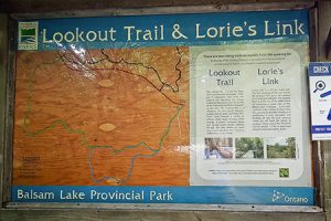 LOOKOUT-TRAIL-300x200 Balsam Lake Provincial Park Trails