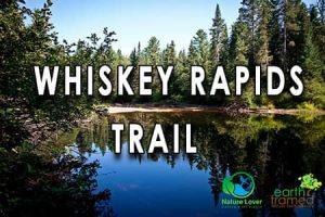 WHISKEY-RAPIDS-TRAIL-300x200 Algonquin Provincial Park Trails