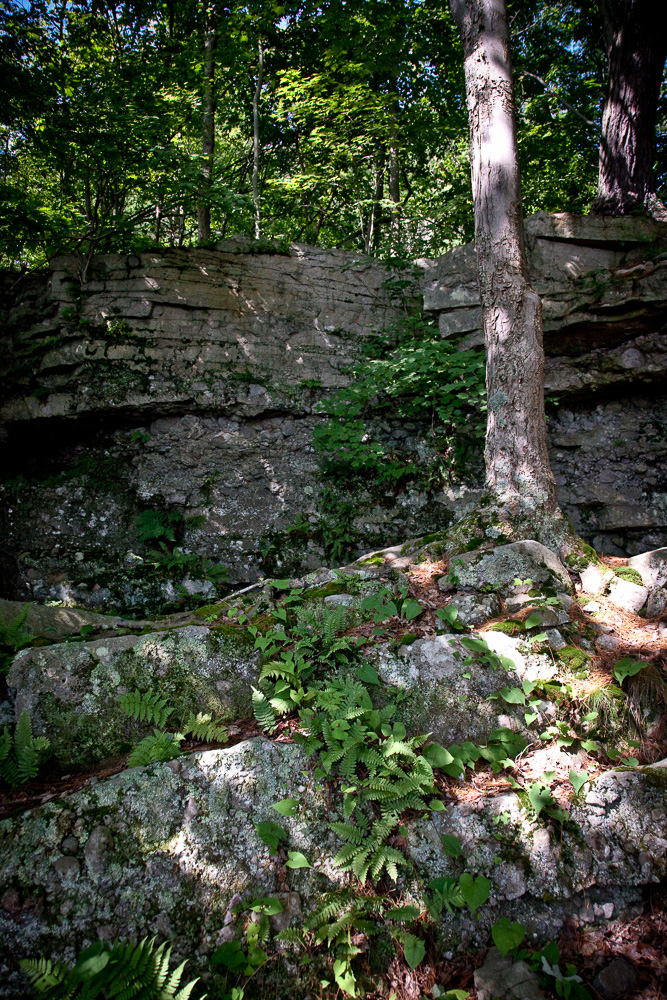 Nature-Lover-20190810-1799 Rock Shelter, Shoreline Vistas And More Along Charleston Lake's Sandstone Island Trail - Watch the Video!