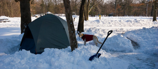Nature-Lover-2008-Ontario-CANADA-PLACES-Pinery-Provincial-Park-Snow-Winter-222-640x282 Tents, Trailers And Campsites Through The Years