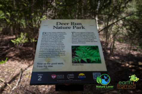 3838055134 Point Clark's Deer Run Nature Trail