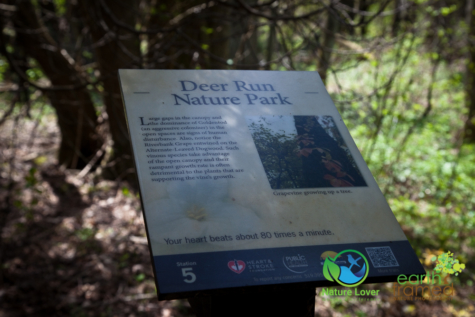 1034368900 Point Clark's Deer Run Nature Trail