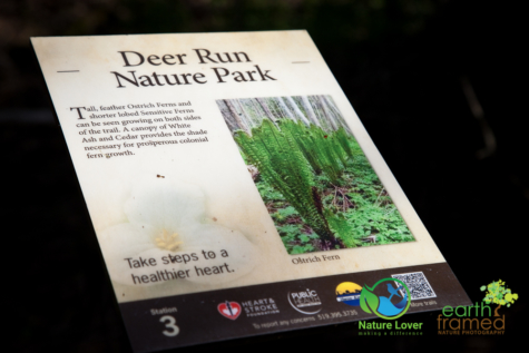 2990416377 Point Clark's Deer Run Nature Trail