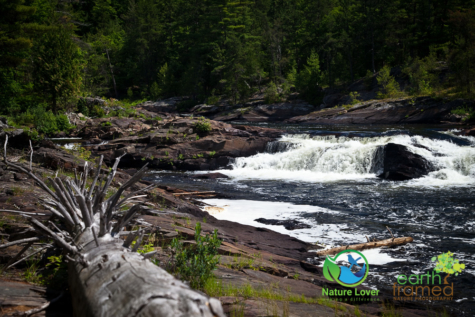 3036951370 Discover The Chutes, Falls and Cataracts Of Chutes Provincial Park