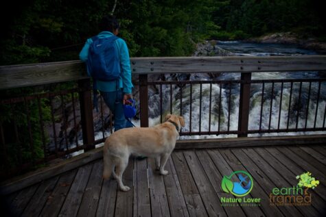 3955482573 Discover The Chutes, Falls and Cataracts Of Chutes Provincial Park