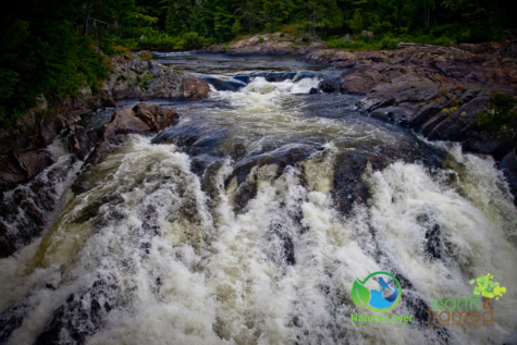 412753773 Discover The Chutes, Falls and Cataracts Of Chutes Provincial Park