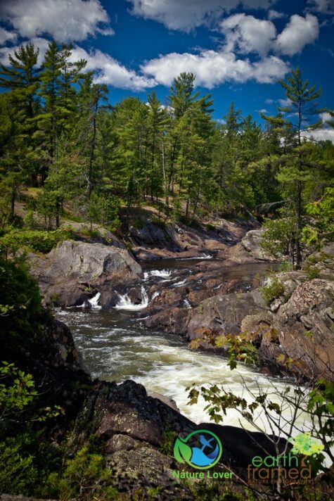 4268301658 Discover The Chutes, Falls and Cataracts Of Chutes Provincial Park