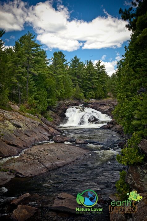 2779793598 Discover The Chutes, Falls and Cataracts Of Chutes Provincial Park