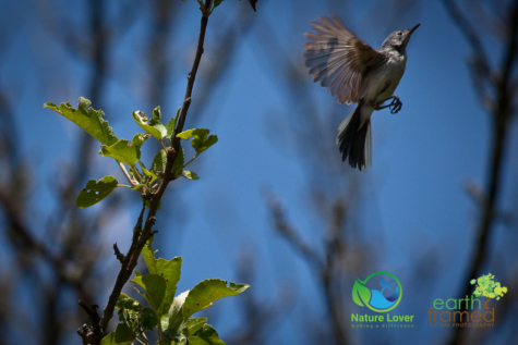 4270317314 Presqu'ile Provincial Park For Birding