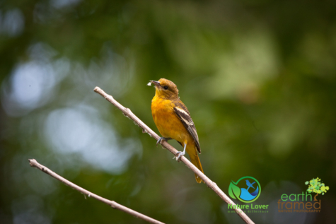 170200915 Presqu'ile Provincial Park For Birding