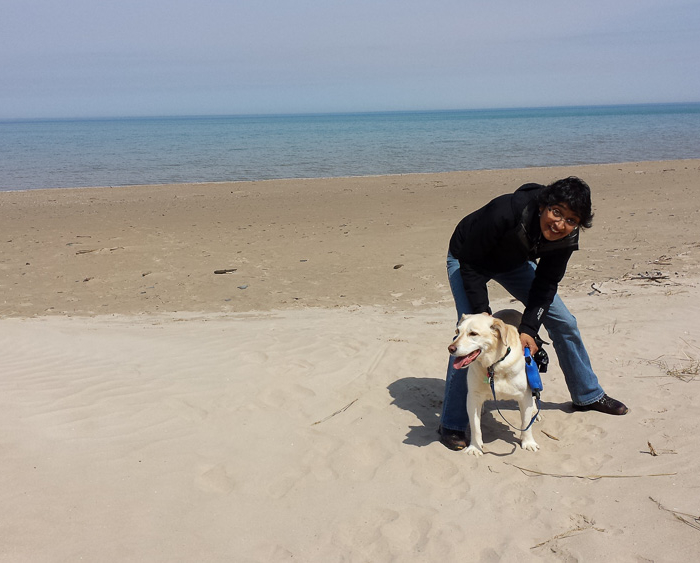 2092349238 Maya the Nature Dog Still Loving The Beach at 14